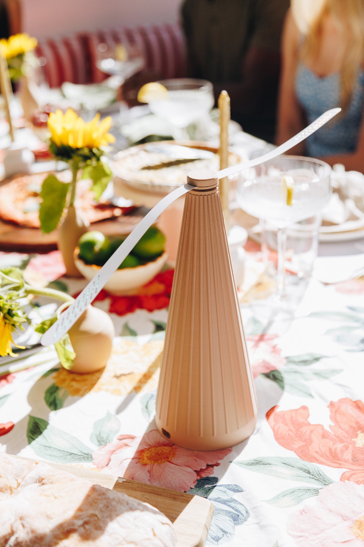 Fly Repellent Table Fan