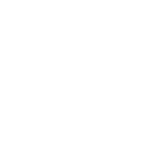 the-trendyhouse-logo-white