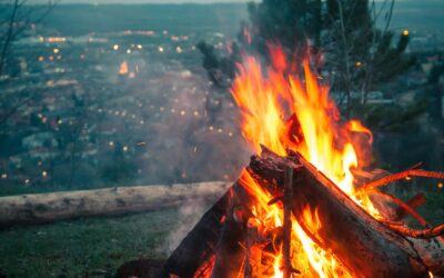 Outdoor Oven vs Traditional Braai